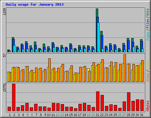 Daily usage for January 2013