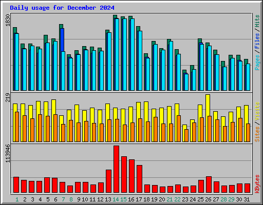 Daily usage for December 2024