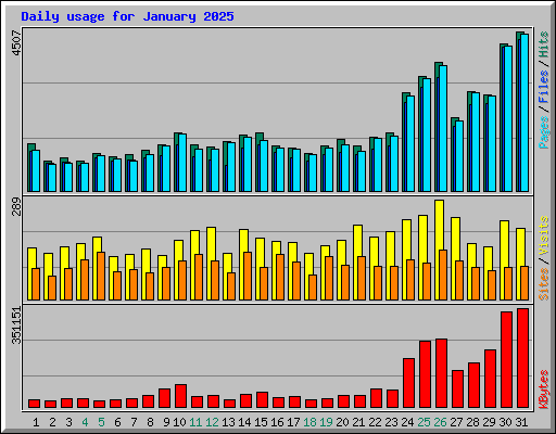 Daily usage for January 2025