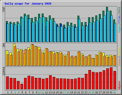 Daily usage for January 2026