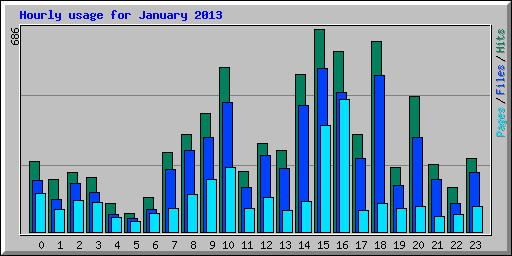 Hourly usage for January 2013
