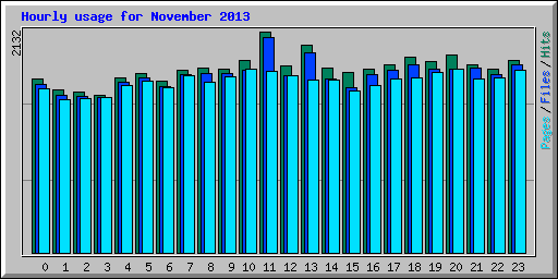 Hourly usage for November 2013