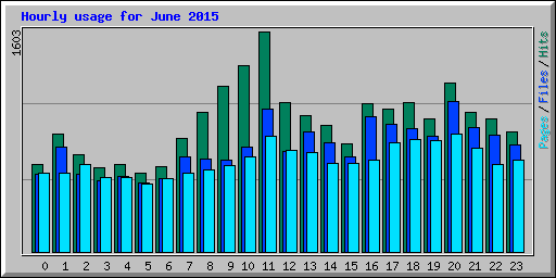 Hourly usage for June 2015