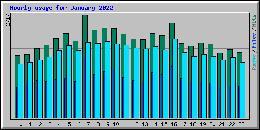 Hourly usage for January 2022