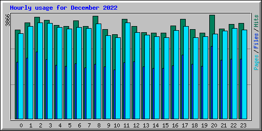 Hourly usage for December 2022