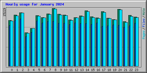 Hourly usage for January 2024