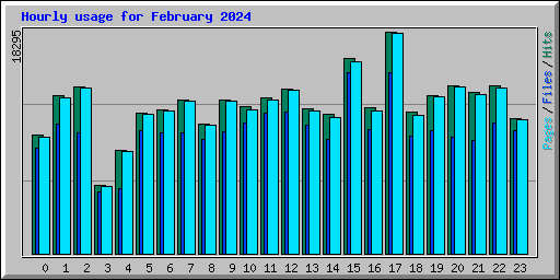 Hourly usage for February 2024