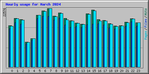 Hourly usage for March 2024