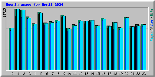 Hourly usage for April 2024