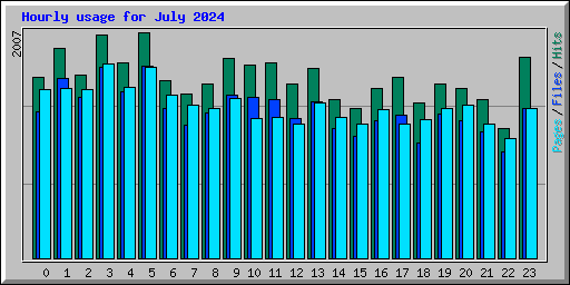 Hourly usage for July 2024