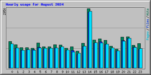 Hourly usage for August 2024