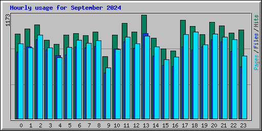 Hourly usage for September 2024