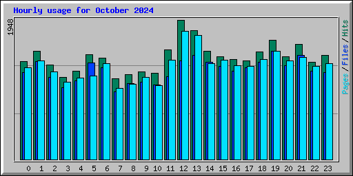 Hourly usage for October 2024
