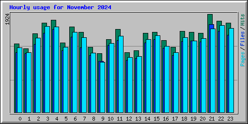 Hourly usage for November 2024
