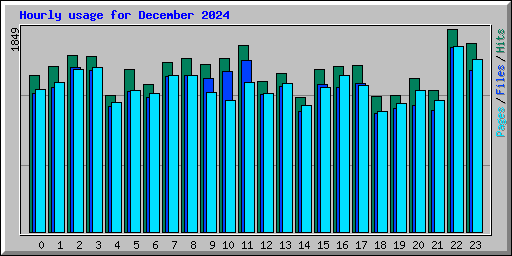Hourly usage for December 2024