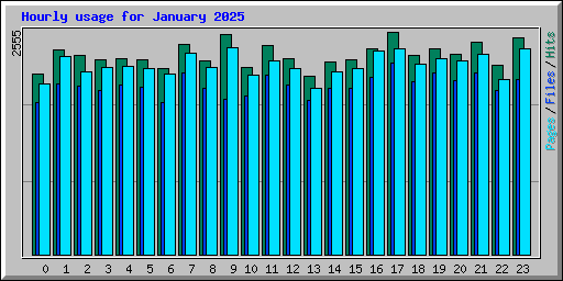 Hourly usage for January 2025