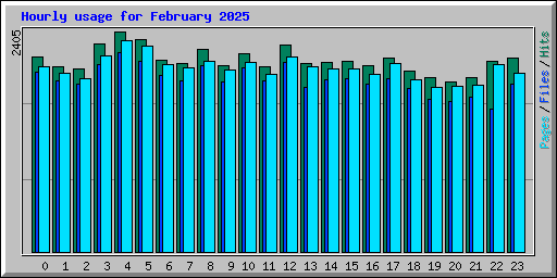 Hourly usage for February 2025