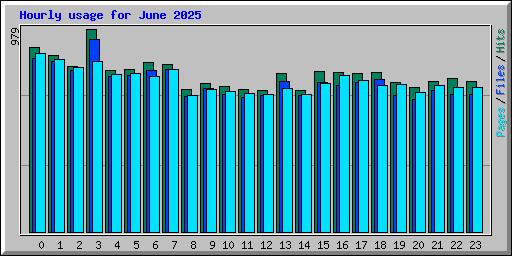 Hourly usage for June 2025