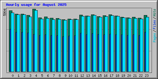 Hourly usage for August 2025