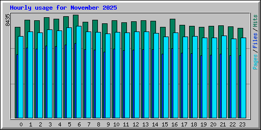 Hourly usage for November 2025