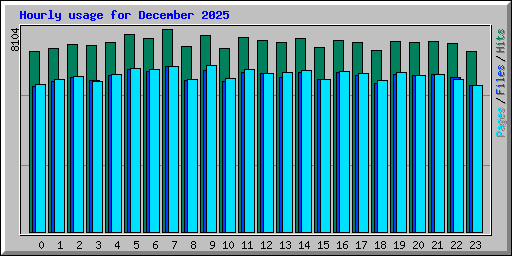 Hourly usage for December 2025