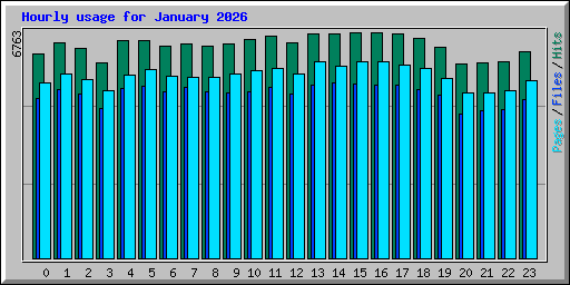 Hourly usage for January 2026