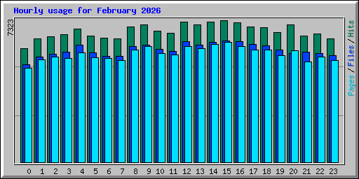 Hourly usage for February 2026